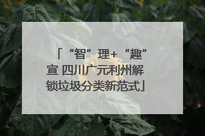 “智”理+“趣”宣 四川广元利州解锁垃圾分类新范式