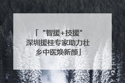 “智援+技援” 深圳援桂专家助力壮乡中医焕新颜