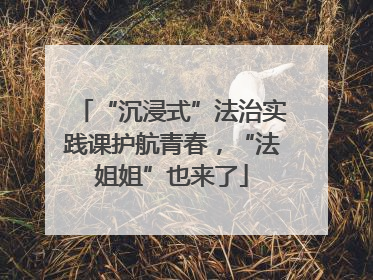 “沉浸式”法治实践课护航青春，“法姐姐”也来了
