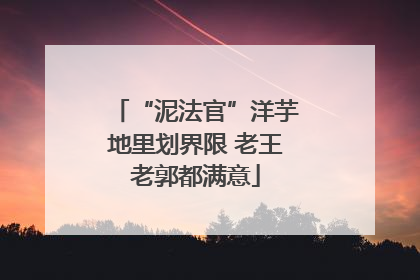 “泥法官”洋芋地里划界限 老王老郭都满意