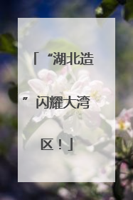 “湖北造”闪耀大湾区！