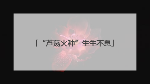 “芦荡火种”生生不息