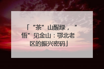 “茶”山醒绿，“悟”见金山：鄂北老区的振兴密码