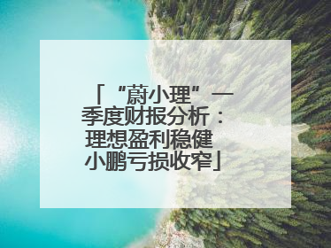 “蔚小理”一季度财报分析：理想盈利稳健 小鹏亏损收窄