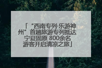 “西南专列·乐游神州”首趟旅游专列抵达宁夏固原 800余名游客开启清凉之旅