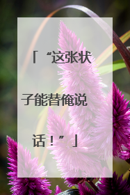 “这张状子能替俺说话！”