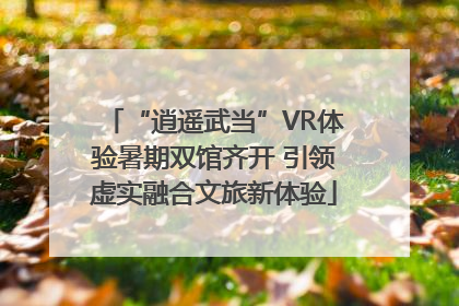 “逍遥武当”VR体验暑期双馆齐开 引领虚实融合文旅新体验