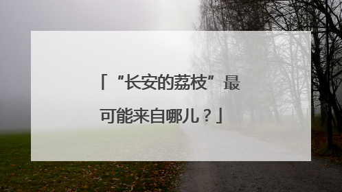 “长安的荔枝”最可能来自哪儿？