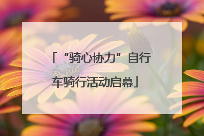 “骑心协力”自行车骑行活动启幕