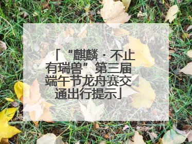 “麒麟・不止有瑞兽”第三届端午节龙舟赛交通出行提示