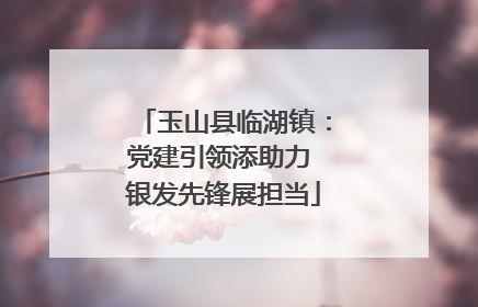 玉山县临湖镇：党建引领添助力 银发先锋展担当