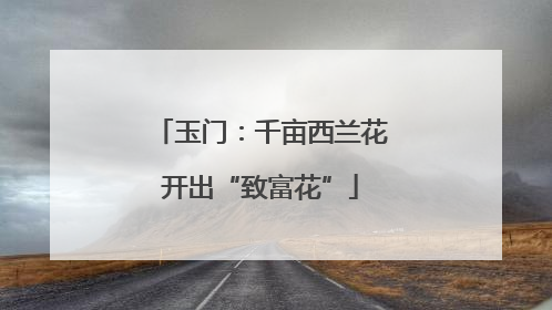 玉门：千亩西兰花开出“致富花”
