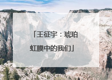 王征宇：琥珀虹膜中的我们