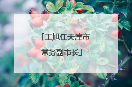 王旭任天津市常务副市长