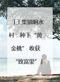 王集镇响水村：种下“黄金桃” 收获“致富果”