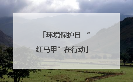 环境保护日 “红马甲”在行动