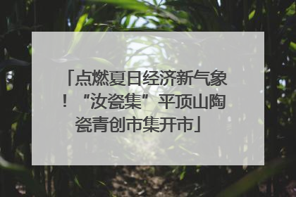 点燃夏日经济新气象！“汝瓷集”平顶山陶瓷青创市集开市