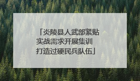 炎陵县人武部紧贴实战需求开展集训 打造过硬民兵队伍