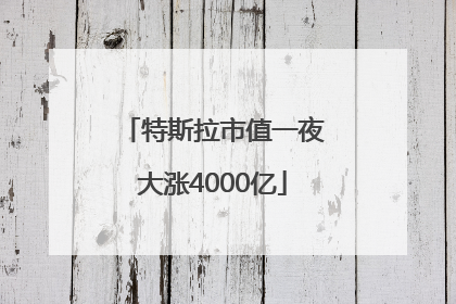 特斯拉市值一夜大涨4000亿
