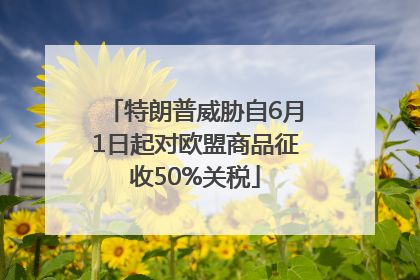特朗普威胁自6月1日起对欧盟商品征收50%关税