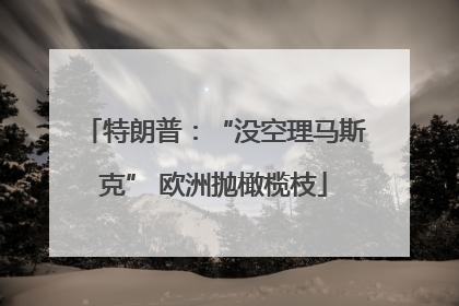 特朗普：“没空理马斯克” 欧洲抛橄榄枝