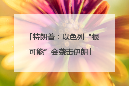 特朗普：以色列“很可能”会袭击伊朗