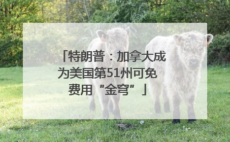特朗普：加拿大成为美国第51州可免费用“金穹”