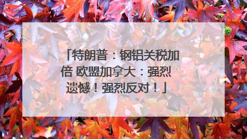 特朗普：钢铝关税加倍 欧盟加拿大：强烈遗憾！强烈反对！