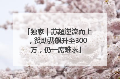独家｜苏超逆流而上，赞助费飙升至300万，仍一席难求