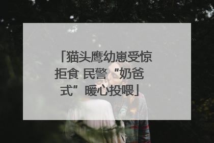 猫头鹰幼崽受惊拒食 民警“奶爸式”暖心投喂