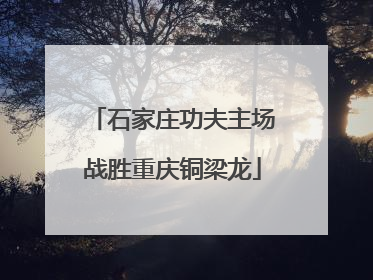 石家庄功夫主场战胜重庆铜梁龙
