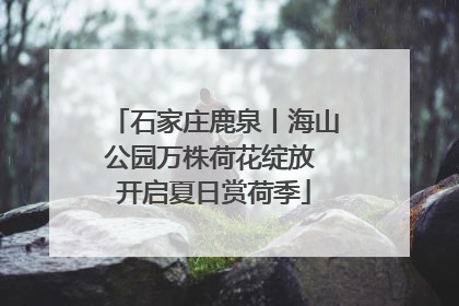 石家庄鹿泉丨海山公园万株荷花绽放 开启夏日赏荷季