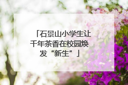 石景山小学生让千年茶香在校园焕发“新生”