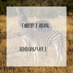 瞭望丨移风易俗润八桂