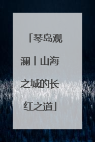 琴岛观澜丨山海之城的长红之道