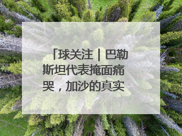 球关注｜巴勒斯坦代表掩面痛哭，加沙的真实现状让人痛心