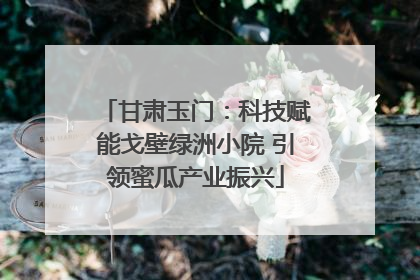 甘肃玉门：科技赋能戈壁绿洲小院 引领蜜瓜产业振兴