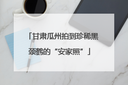 甘肃瓜州拍到珍稀黑颈鹤的“安家照”
