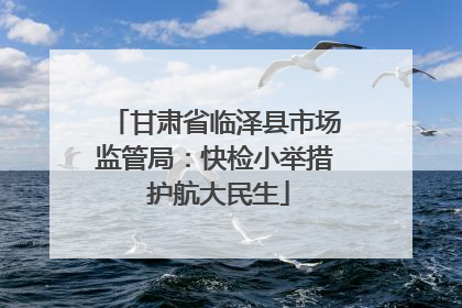 甘肃省临泽县市场监管局：快检小举措 护航大民生