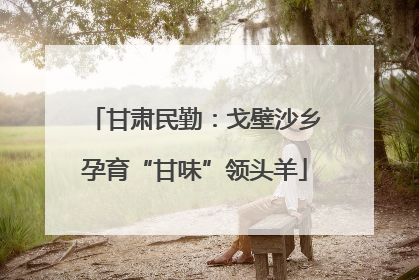 甘肃民勤：戈壁沙乡孕育“甘味”领头羊
