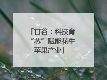 甘谷：科技育“芯”赋能花牛苹果产业