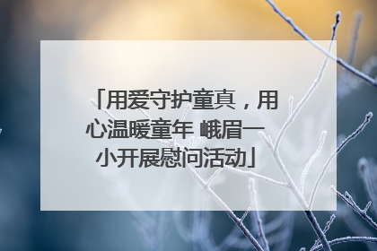 用爱守护童真，用心温暖童年 峨眉一小开展慰问活动