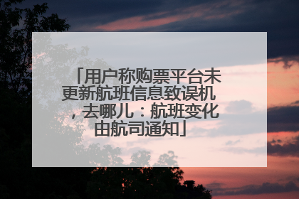 用户称购票平台未更新航班信息致误机，去哪儿：航班变化由航司通知