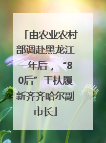 由农业农村部调赴黑龙江一年后，“80后”王杕履新齐齐哈尔副市长