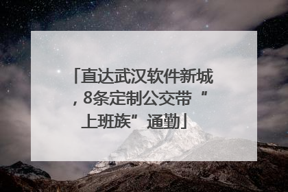 直达武汉软件新城,8条定制公交带“上班族”通勤