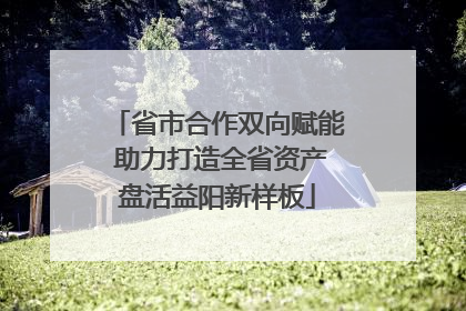 省市合作双向赋能 助力打造全省资产盘活益阳新样板