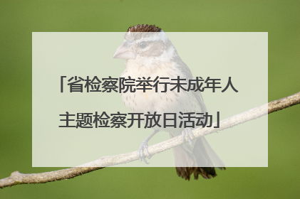 省检察院举行未成年人主题检察开放日活动
