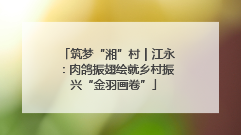 筑梦“湘”村｜江永：肉鸽振翅绘就乡村振兴“金羽画卷”