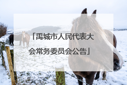 禹城市人民代表大会常务委员会公告
