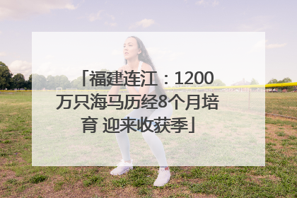 福建连江：1200万只海马历经8个月培育 迎来收获季